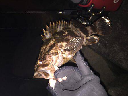 月明かりがまぶしすぎて