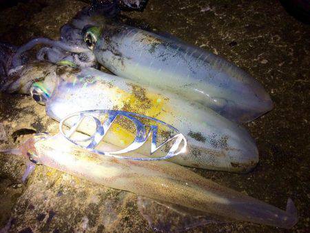 何とかボーズ逃れ