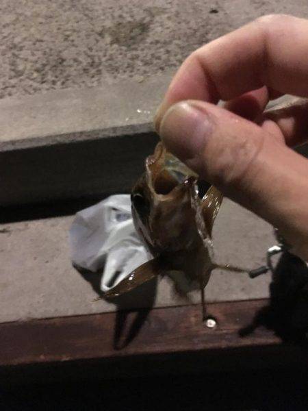 淡路島観光ホテルのメバル