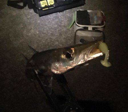 カマスランガン