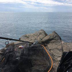 ハマチ狙いのはずがサワラ