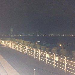 メバリ…ガシリング2