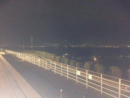 メバリ…ガシリング2