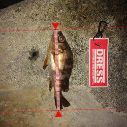 メバリング！！！