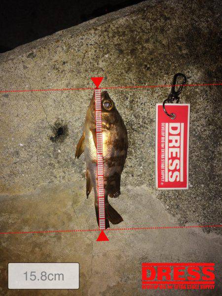 メバリング！！！