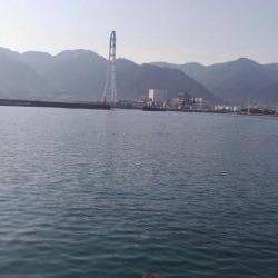 浮きフカセ初チヌ