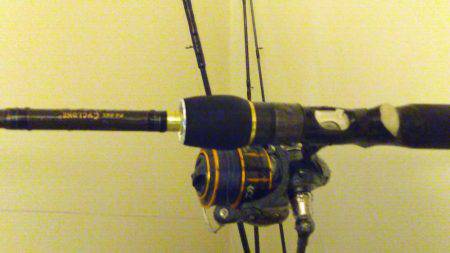 1月以来ずっとボウズ続きでしたがボウズをストップしてくれたのは太刀魚でした。