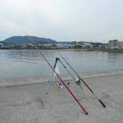 久々のカレイ釣行