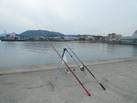 久々のカレイ釣行