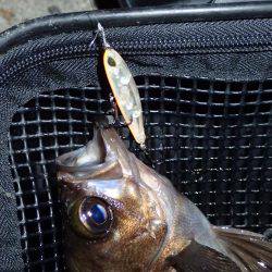 月夜の大潮に大苦戦！