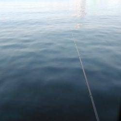 オキアミフカセ