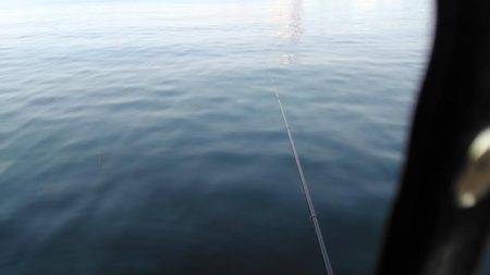 オキアミフカセ