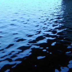 オキアミフカセでハネ‼