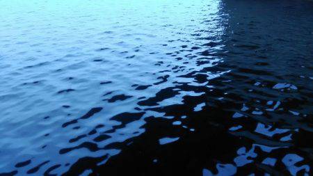 オキアミフカセでハネ‼