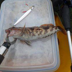 カヤック　ジギング