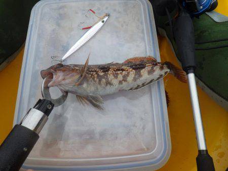 カヤック　ジギング