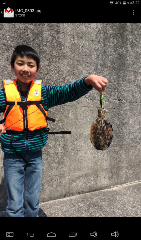 初めてのコウイカぁぁ！