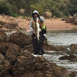 太田和周辺ベイト探しの旅