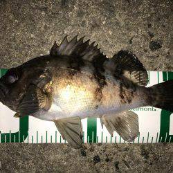 ランガンメバリング