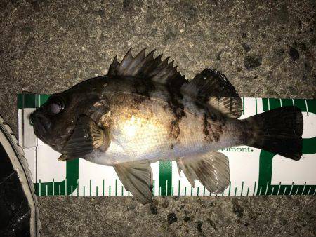 ランガンメバリング