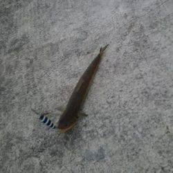 なかなか思い通りには