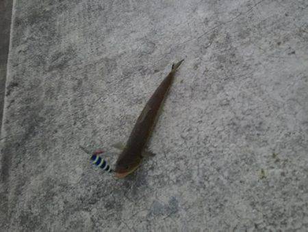 なかなか思い通りには