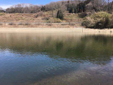 上津ダムのワカサギ、ラストスパート入りか