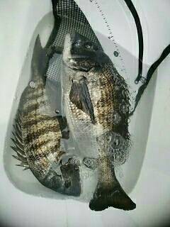 釣研ＦＧ阪神支部懇親会