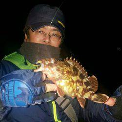 朝マヅメメバリング