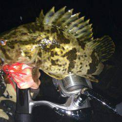 渋いしぶいシブイ。