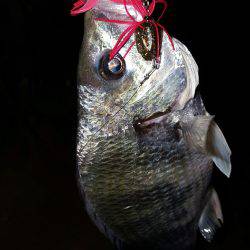 気温上昇体温上昇テンション上昇