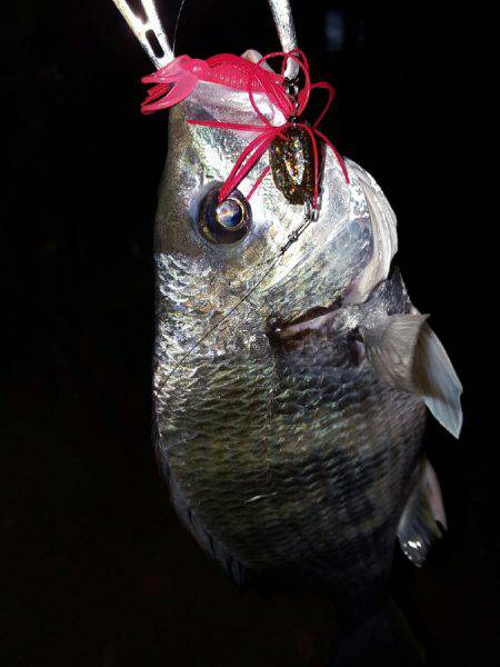 気温上昇体温上昇テンション上昇