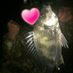 三寒四温の寒。