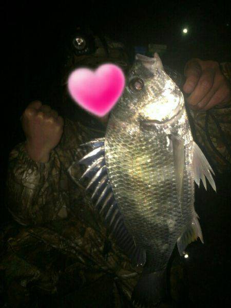 三寒四温の寒。