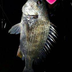 パラダイスらしい!?