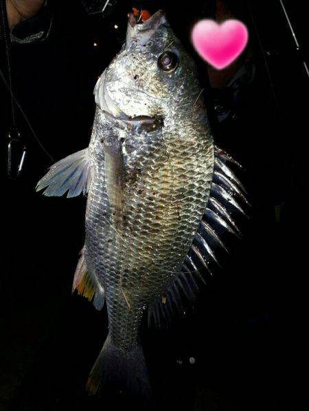 パラダイスらしい!?