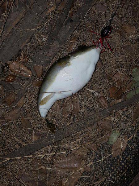 犯人はこいつかぁ~