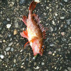 雨あがりからの強風