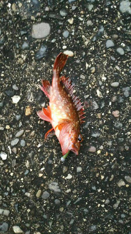 雨あがりからの強風