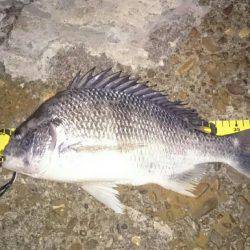 激渋チニング。