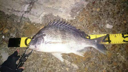 激渋チニング。