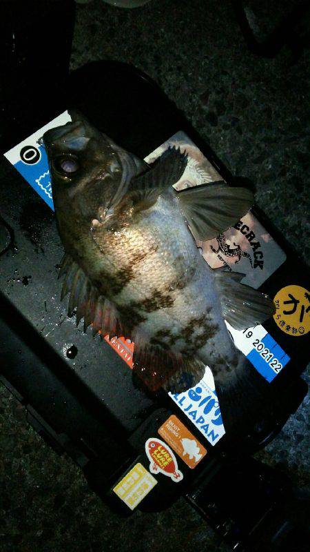 ブルーバック連発！