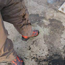 本命以外にみんなの思いも釣り上げました‼️