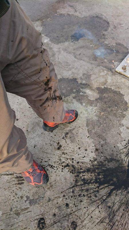 本命以外にみんなの思いも釣り上げました‼️