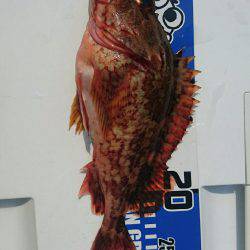 紀北沖ひとつテンヤ