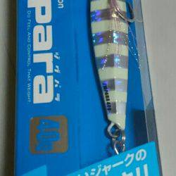 ショアジギング