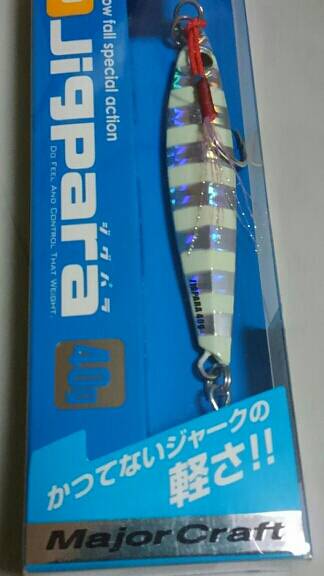 ショアジギング