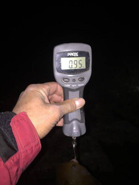 レッドモンスターが釣りたい(笑)