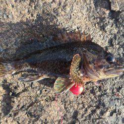 穴釣りでロック！