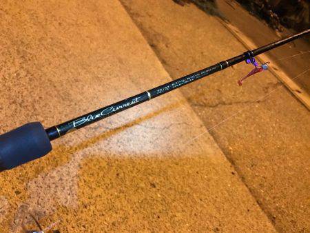 ゲキ渋メバリング